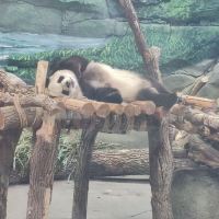 評論圖片 1