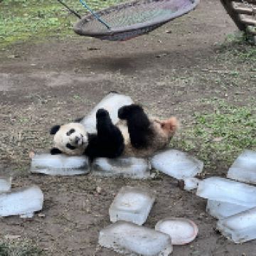 評論圖片 4