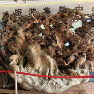 評論圖片 3