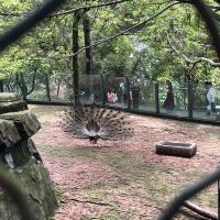 評論圖片 5