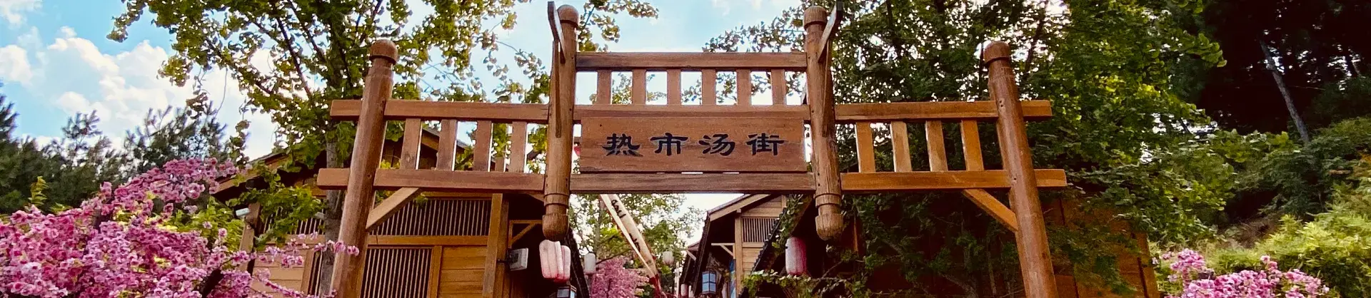 Hot Springs Attractions