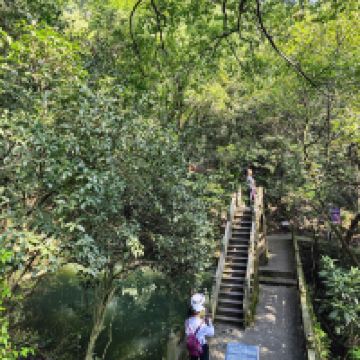 評論圖片 3