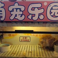評論圖片 7