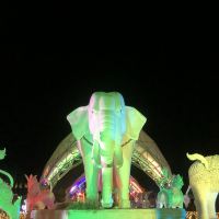 評論圖片 1