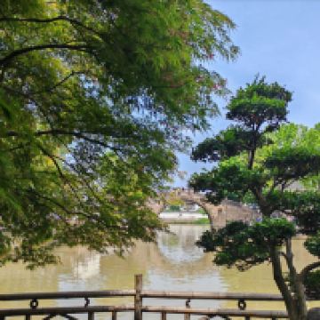 評論圖片 3