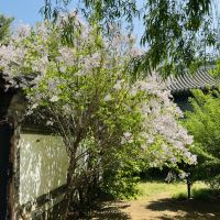 評論圖片 6