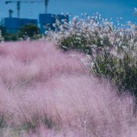 評論圖片 8