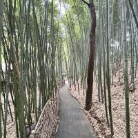 評論圖片 7