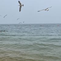 評論圖片 3