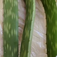 評論圖片 5