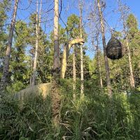 評論圖片 8