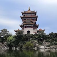 評論圖片 1