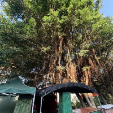 評論圖片 2