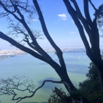 評論圖片 7