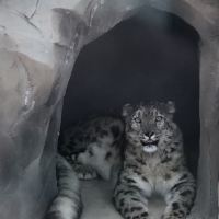 評論圖片 7