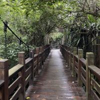 評論圖片 6