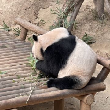 評論圖片 3