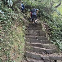 評論圖片 4