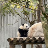 評論圖片 3