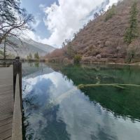 評論圖片 1
