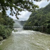 評論圖片 6