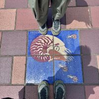 評論圖片 6