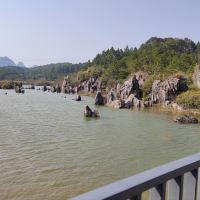 評論圖片 4