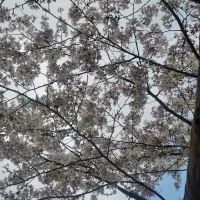 評論圖片 8