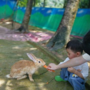 評論圖片 5