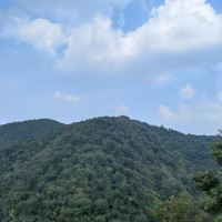 評論圖片 7