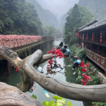 評論圖片 1