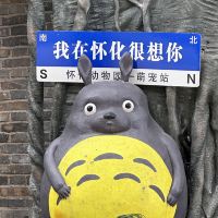評論圖片 2