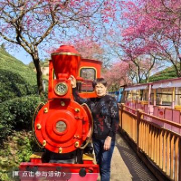 評論圖片 7