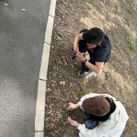 評論圖片 1
