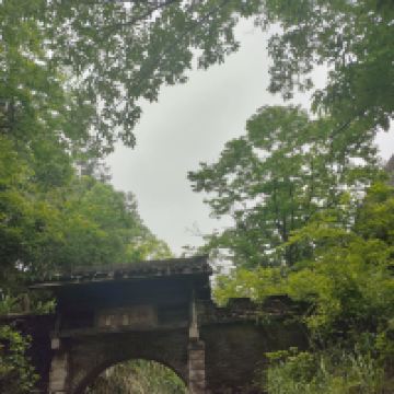 評論圖片 8