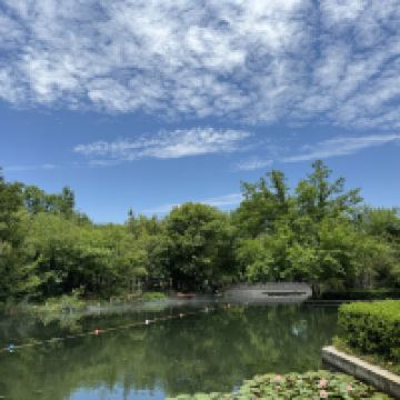 評論圖片 5