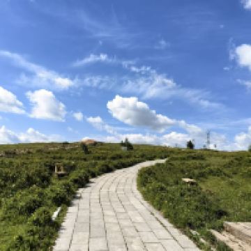 評論圖片 6