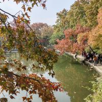 評論圖片 7