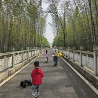 評論圖片 3