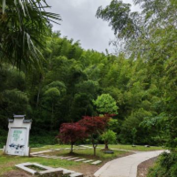 評論圖片 5