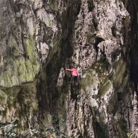 評論圖片 8