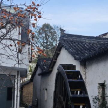 評論圖片 6