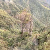 評論圖片 7