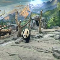 評論圖片 4