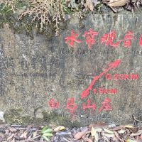 評論圖片 5