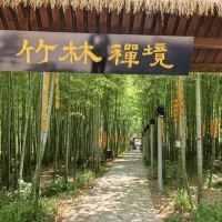 評論圖片 5