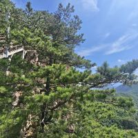 評論圖片 4