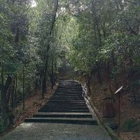 評論圖片 5