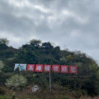 評論圖片 4