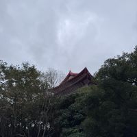 評論圖片 5